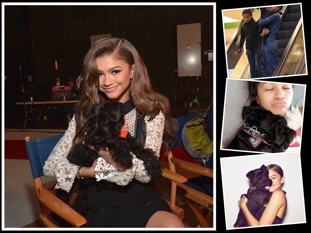 Zendaya and Her Beloved Dog